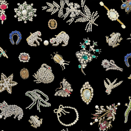 gid://shopify/MediaImage/35394778857784