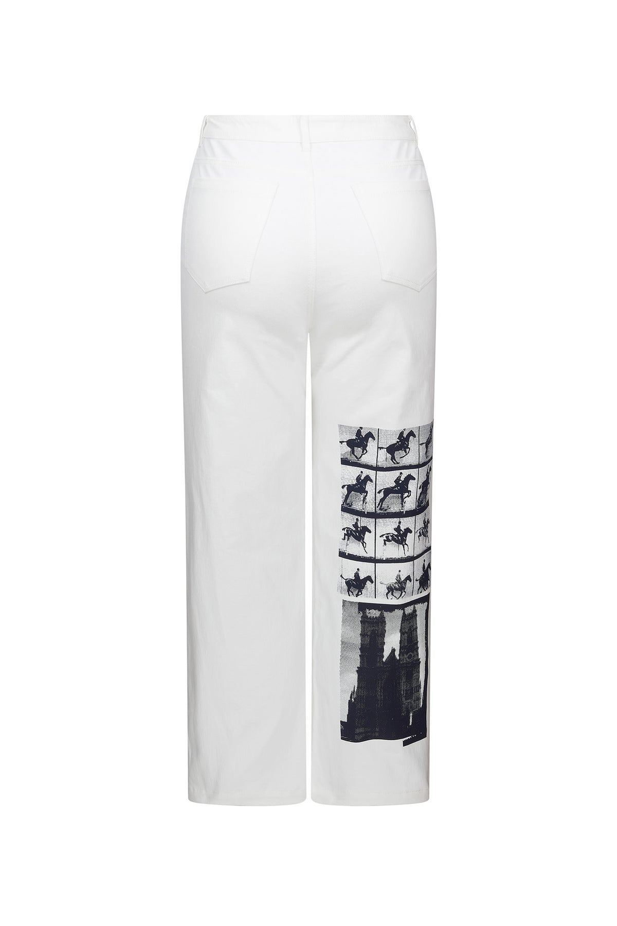 'SKETCHY' CROPPED WIDE LEG PANT - - Libertine